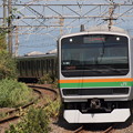 写真: E231系　東海道本線　根府川駅