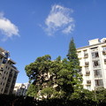 写真: 愚園路　青空と雲とマンション