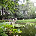 写真: 静安公園　池とお集まりの方々