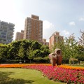 写真: 華山緑地　像とマンションと花壇