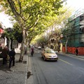 写真: 新楽路と街路樹と
