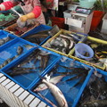 新鎮宇菜市場　魚売り場