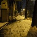 写真: 雪と足跡