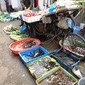 写真: 路地裏市場の魚やさん