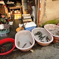 写真: 路地裏市場の魚やさん２