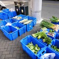 写真: 延平路　路上の野菜売り