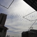 写真: 上海変な雲１