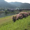 兵庫県北部のド田舎の風景(^o^)