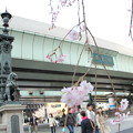 写真: 日本橋