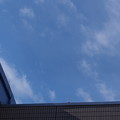 写真: 空色〜雲と青