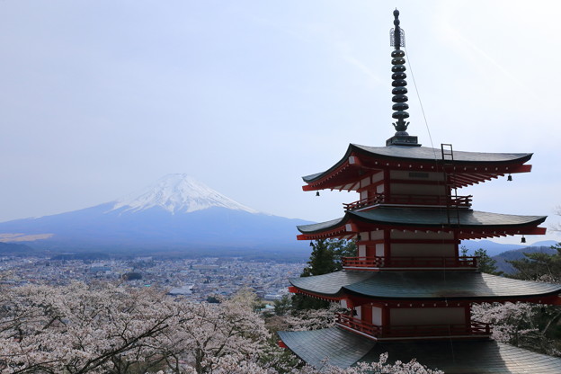 桜と富士山と五重の塔〜新倉浅間山公園〜