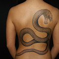 蛇・ヘビのタトゥー画像
