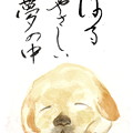 写真: 子犬 by ふうさん