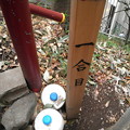 写真: 上目黒氷川神社-目黒富士登山-03鳥居と一合目標