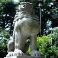熊野神社-04狛犬b