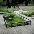写真: 多摩川台公園-09水生植物園・野草園（元調布浄水場跡地）a