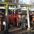 写真: 上野恩賜公園　花園稲荷神社入口