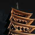 写真: 興福寺五重塔