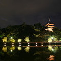 写真: 猿沢の池から興福寺を望む