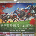写真: 2013年秋の福島競馬（1）