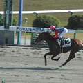 写真: 2013年秋の福島競馬（5）