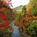 写真: 最高の紅葉のなか沢を登る喜び