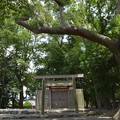 写真: 清野井庭神社2