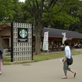 写真: 上野動物園前のスタバDSCN4299