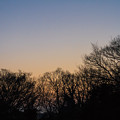 写真: 猛禽の森 〜 冷たさ残る春の朝
