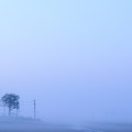 写真: 霧海
