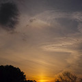 写真: 日暈と太陽柱