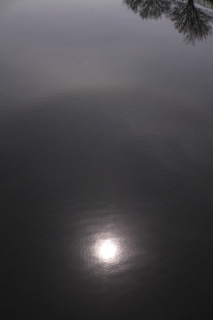水面の日暈