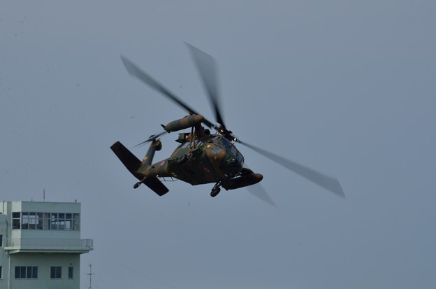 写真: UH-60JA