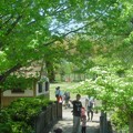 写真: 竹取公園12