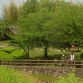 竹取公園07