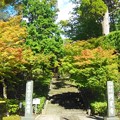 写真: 秋が深まる円覚寺♪