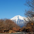 写真: 田貫湖　休暇村からの富士山
