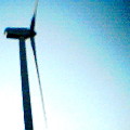 写真: 風車