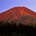 写真: 赤富士