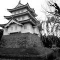 写真: 忍城(のぼうの城)