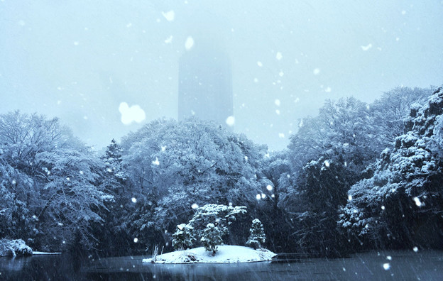 写真: 雪で霞むドコモタワー2