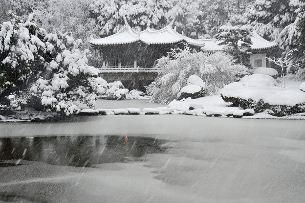 写真: 雪に埋もれる台湾閣
