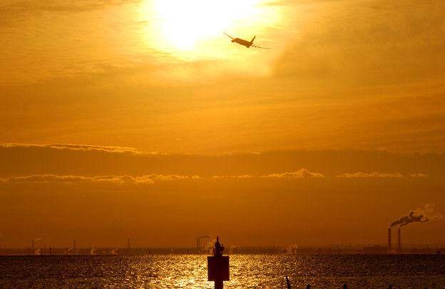 写真: 朝の東京湾