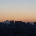 写真: 文京シビックセンターからの眺め