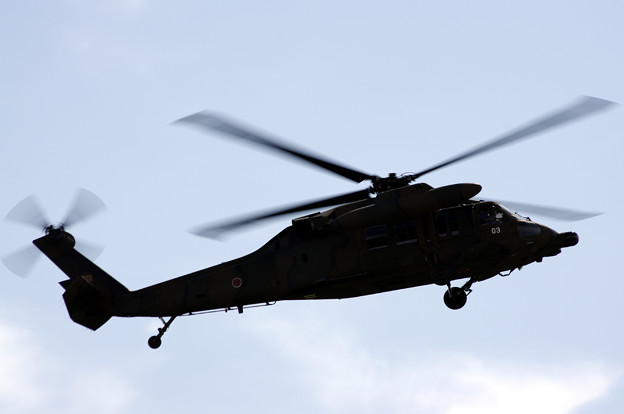 写真: 観閲飛行UH-60JA