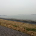 写真: 2012-12-15　京浜島　霧雨パラパラ