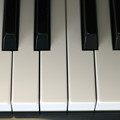 写真: ピアノの鍵盤 (2)