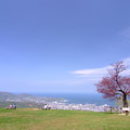 写真: 天狗山山頂より小樽市街を望む
