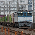 Photos: EF652067牽引1091列車＠下総中山