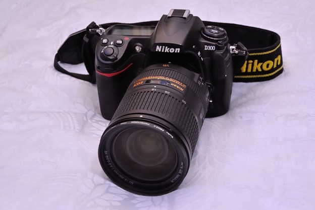 18-300mm　with　D300